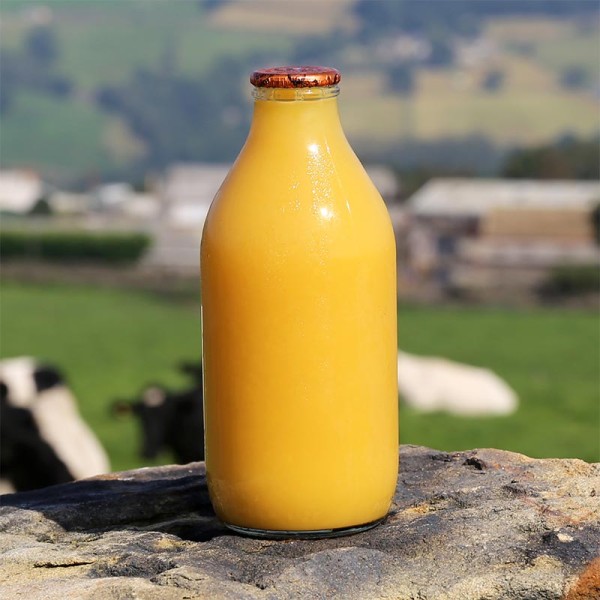  ORANGE JUICE PINT